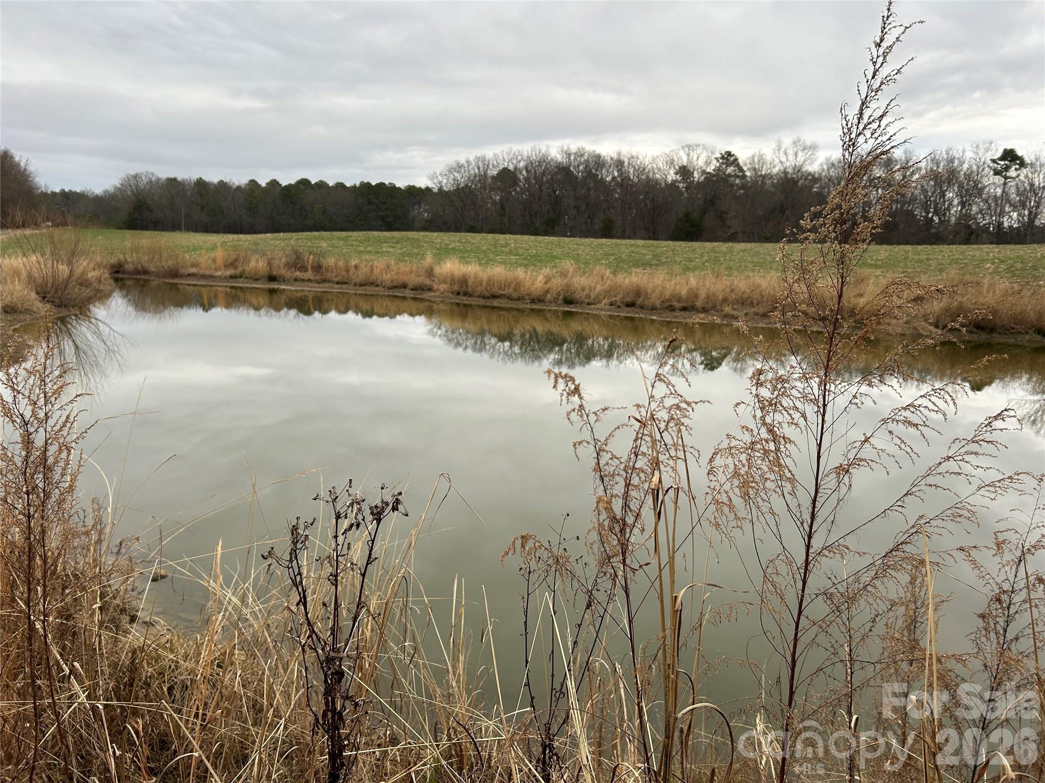 1440 Carl Taylor Road Peachland, NC 28133 - Photo 3 of 23 a view of lake with green space