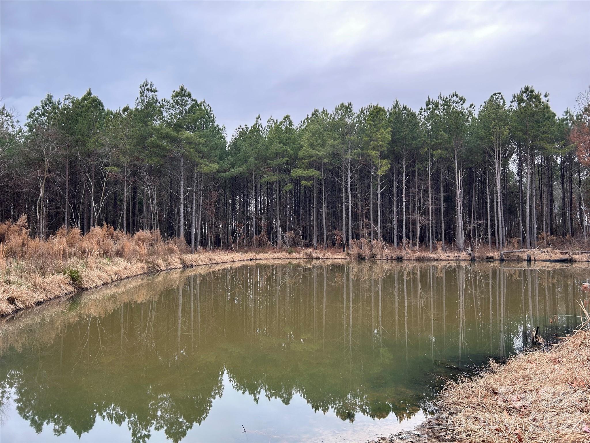 1440 Carl Taylor Road Peachland, NC 28133 - Photo 3 of 21 a view of swimming pool with a lake view