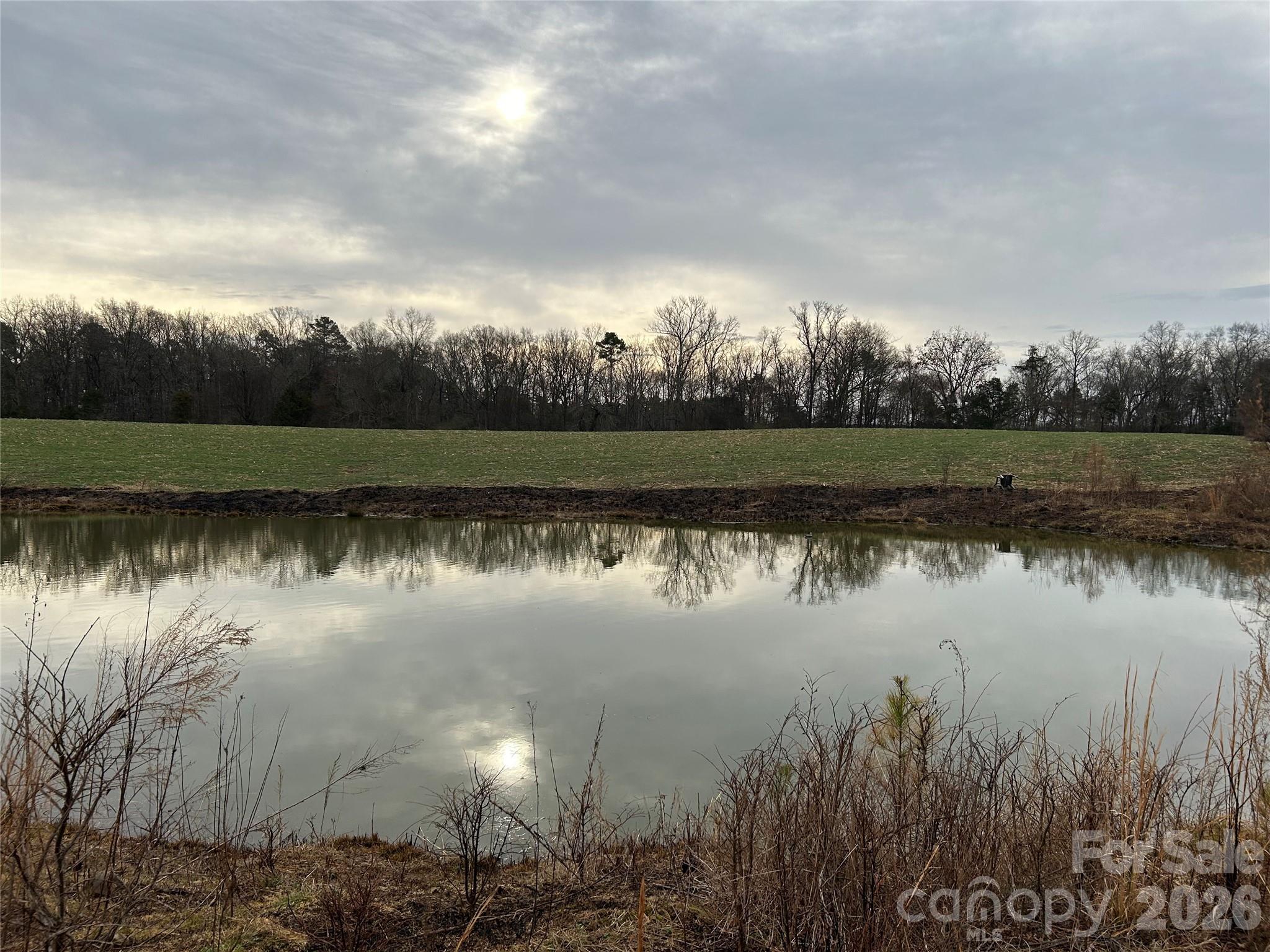 1440 Carl Taylor Road Peachland, NC 28133 - Photo 4 of 21 a view of a lake with houses in the background