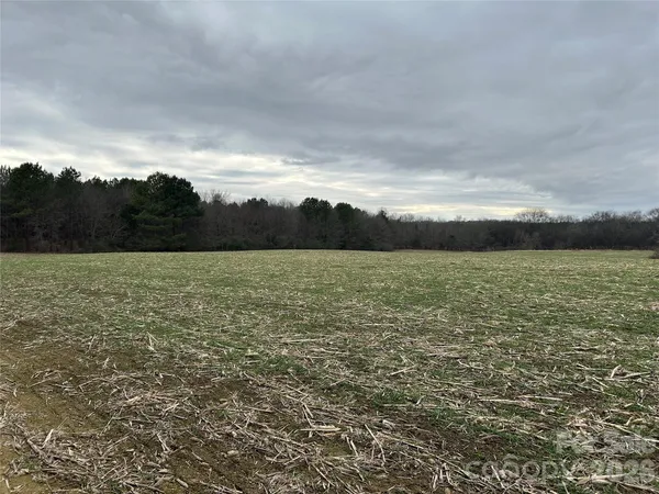 $750,000 | 1440 Carl Taylor Road, Peachland, NC 28133