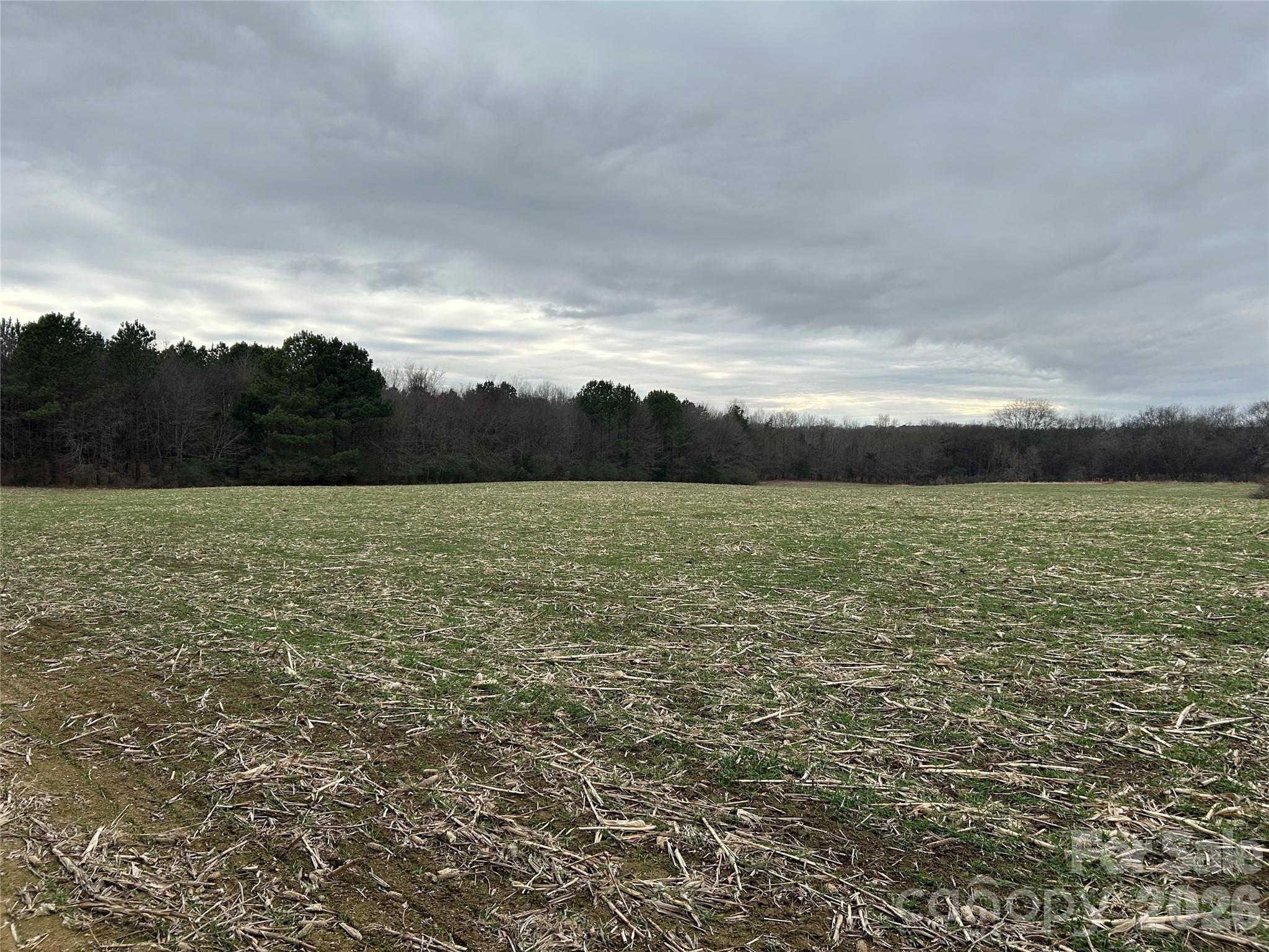 1440 Carl Taylor Road Peachland, NC 28133 - Photo 6 of 23 a view of a lake view