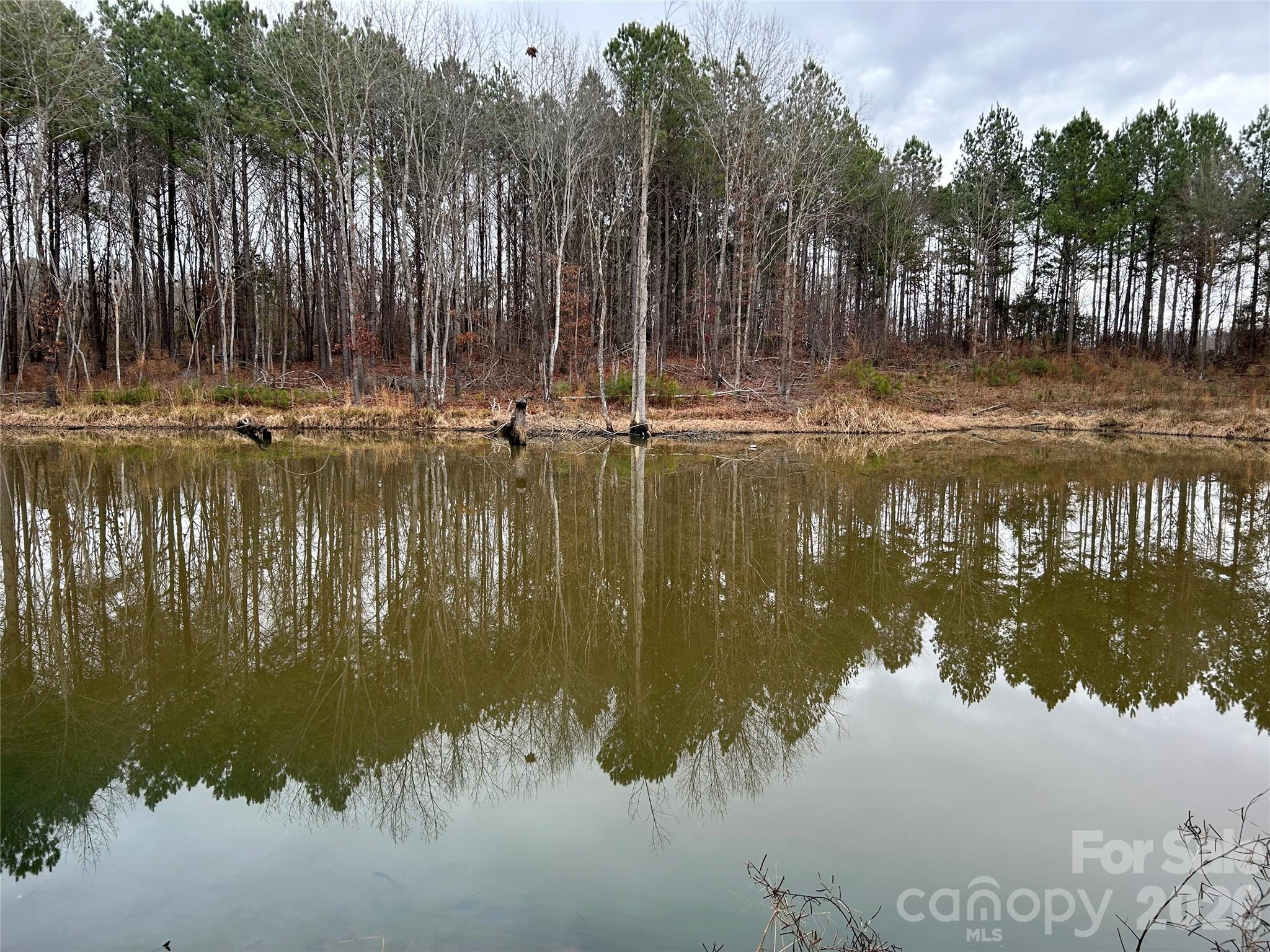 1440 Carl Taylor Road Peachland, NC 28133 - Photo 7 of 21 a view of lake view