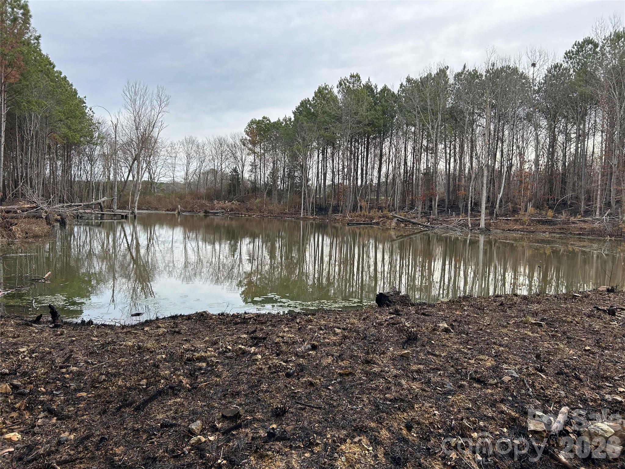 1440 Carl Taylor Road Peachland, NC 28133 - Photo 7 of 23 a lake view with a yard in back