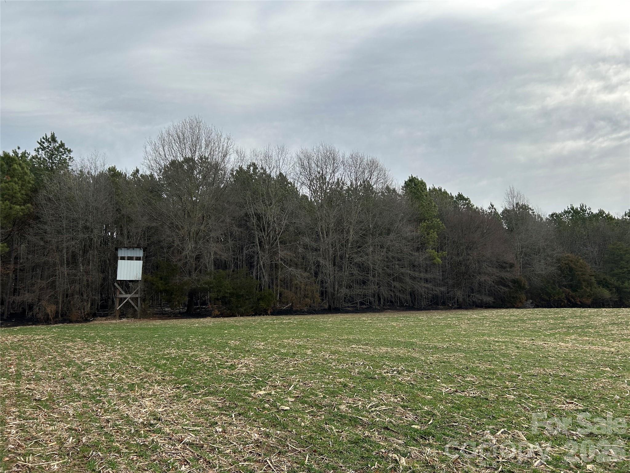 1440 Carl Taylor Road Peachland, NC 28133 - Photo 8 of 21 a view of a backyard