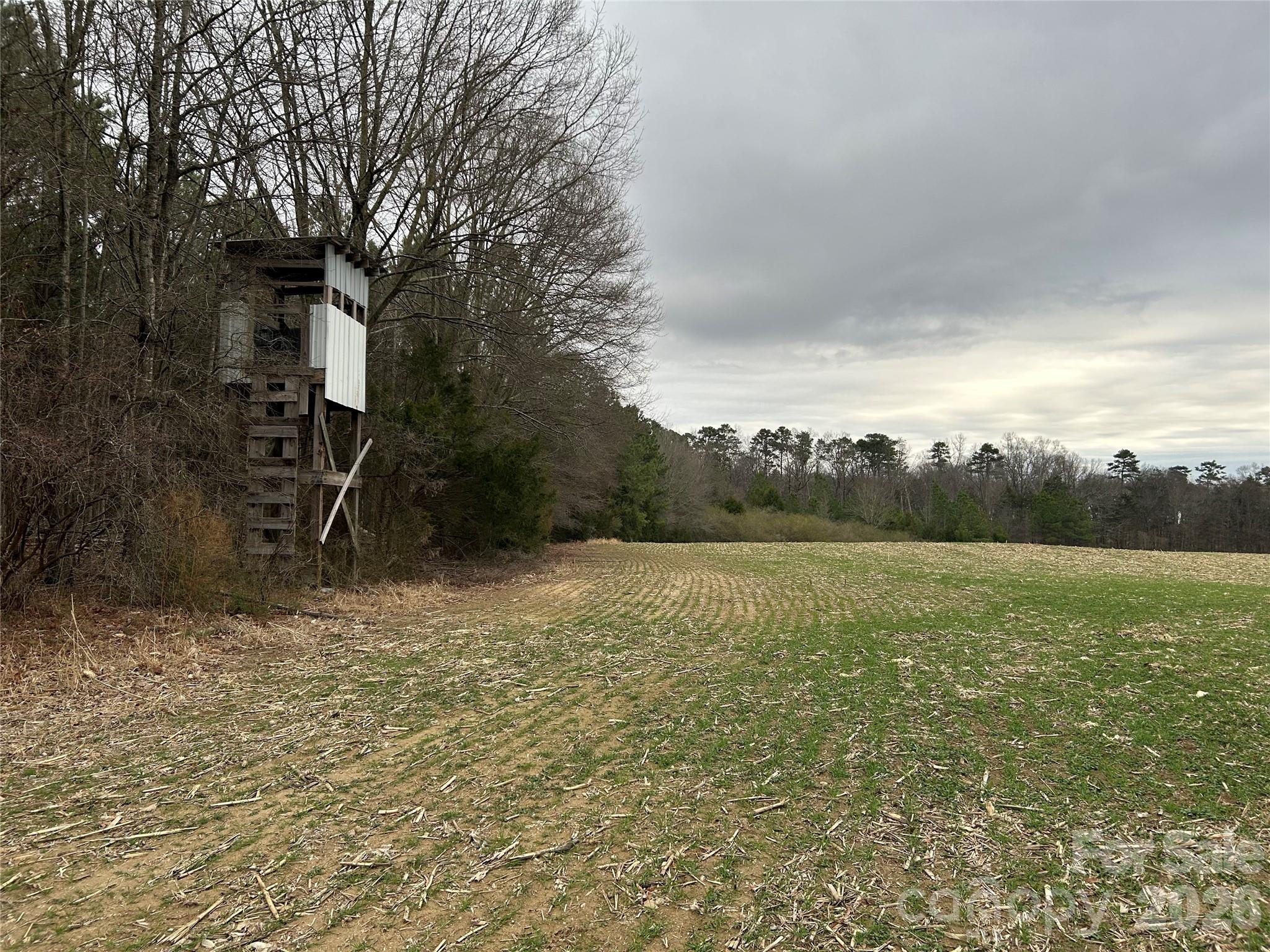1440 Carl Taylor Road Peachland, NC 28133 - Photo 10 of 21 a view of outdoor space and yard