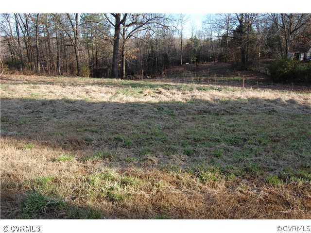Yard/Garden - Rear yard