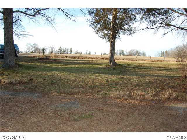 Yard/Garden - Front yard with circular driveway
