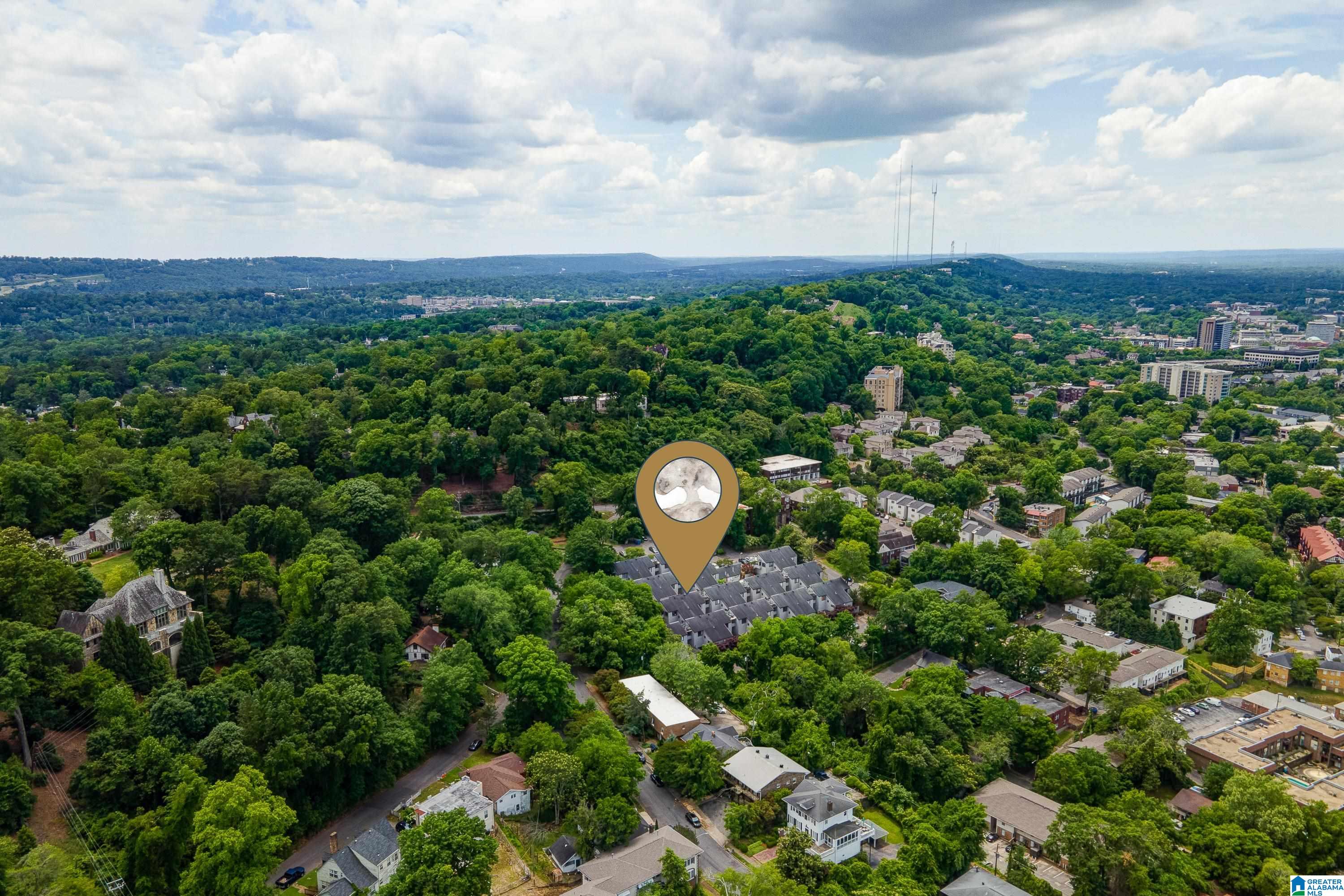 3350 Altamont Road South, Unit D 18 Birmingham, AL 35205 - Photo 6 of 22