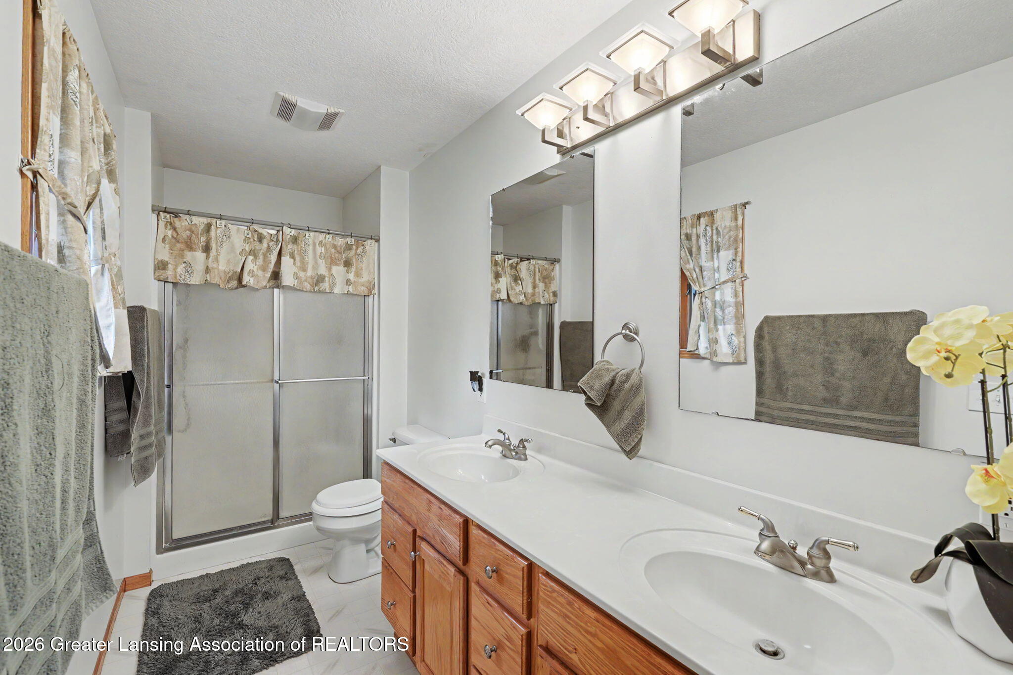 248 Birch Lane Dimondale, MI 48821 - Photo 20 of 44 20-web-or-mls-CQ1A2510