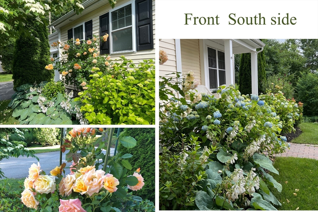 49 Quarry Road, Unit 49 Acton, MA 01720 - Photo 34 of 42 a view of a house with a flower garden