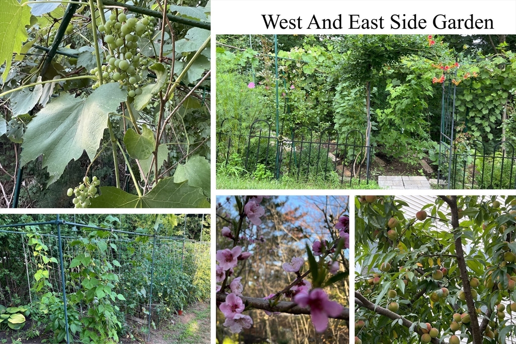 49 Quarry Road, Unit 49 Acton, MA 01720 - Photo 35 of 42 a view of outdoor space with a street sign