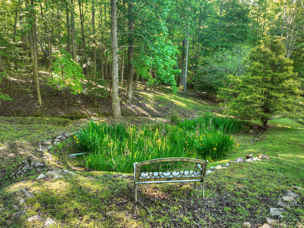 11 Mattie Mitchell Road Morganton, GA 30560 - Photo 24 of 64