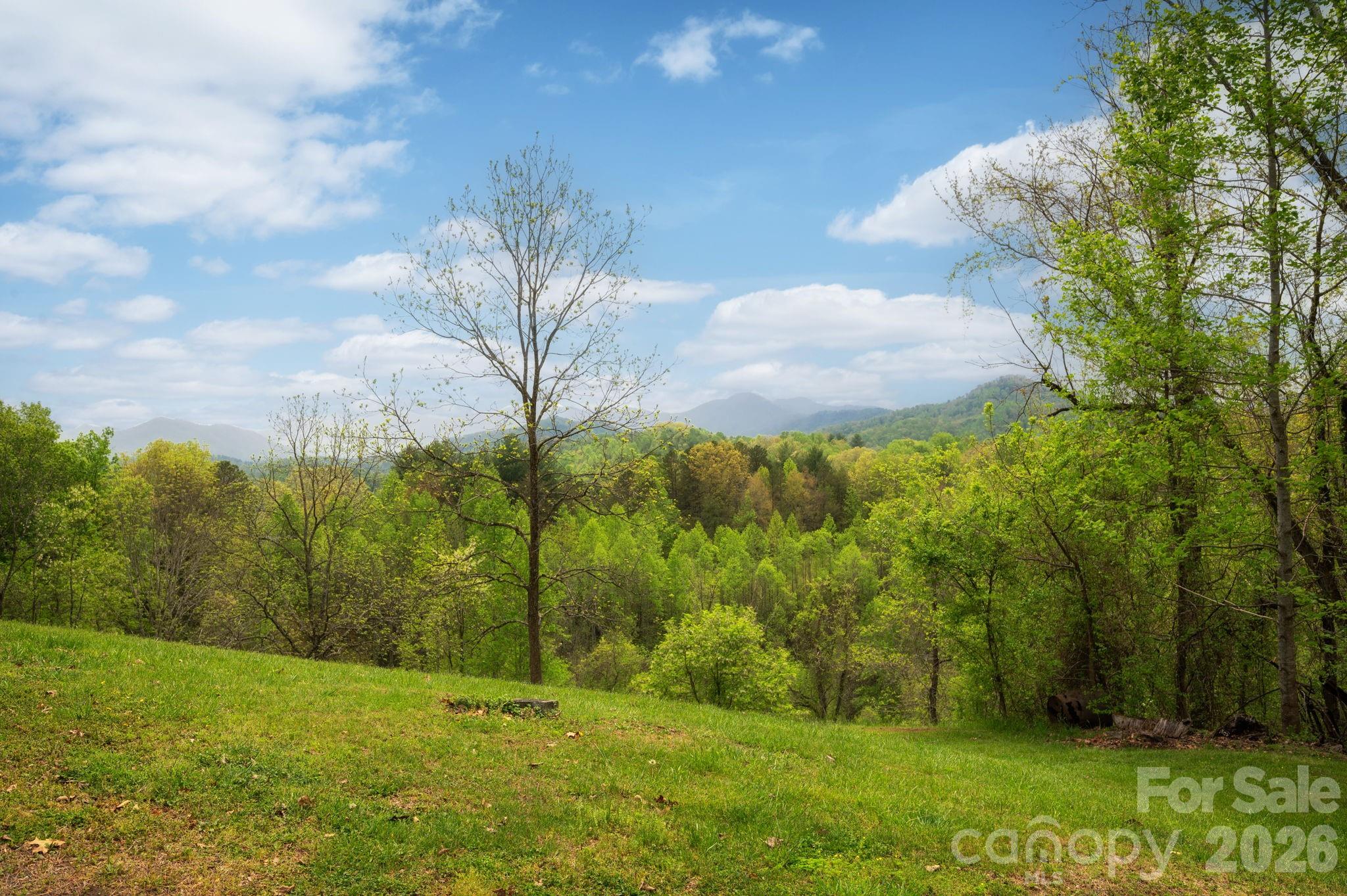69 Heslar Way Marshall, NC 28753 - Photo 32 of 39