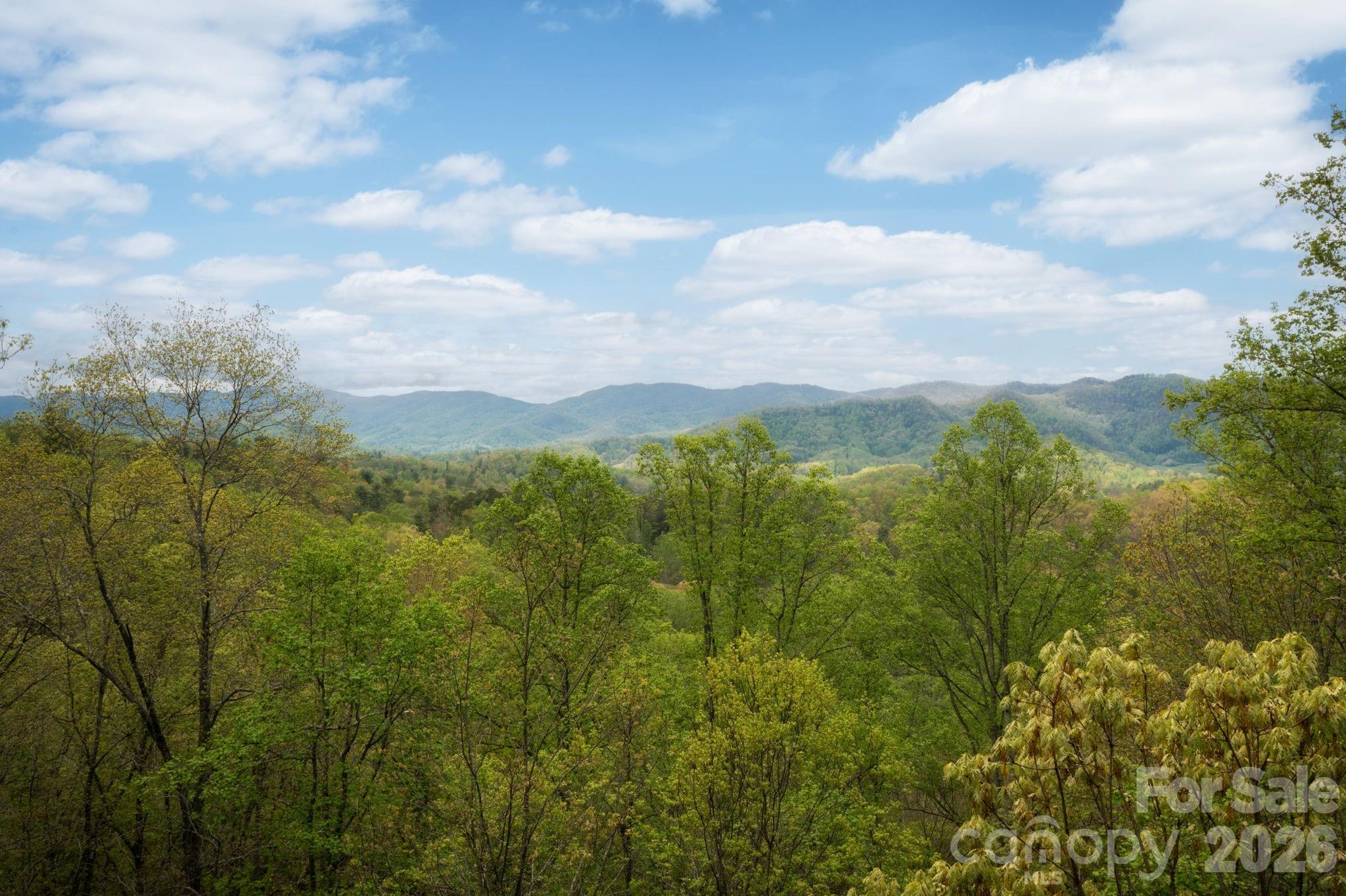 69 Heslar Way Marshall, NC 28753 - Photo 5 of 39