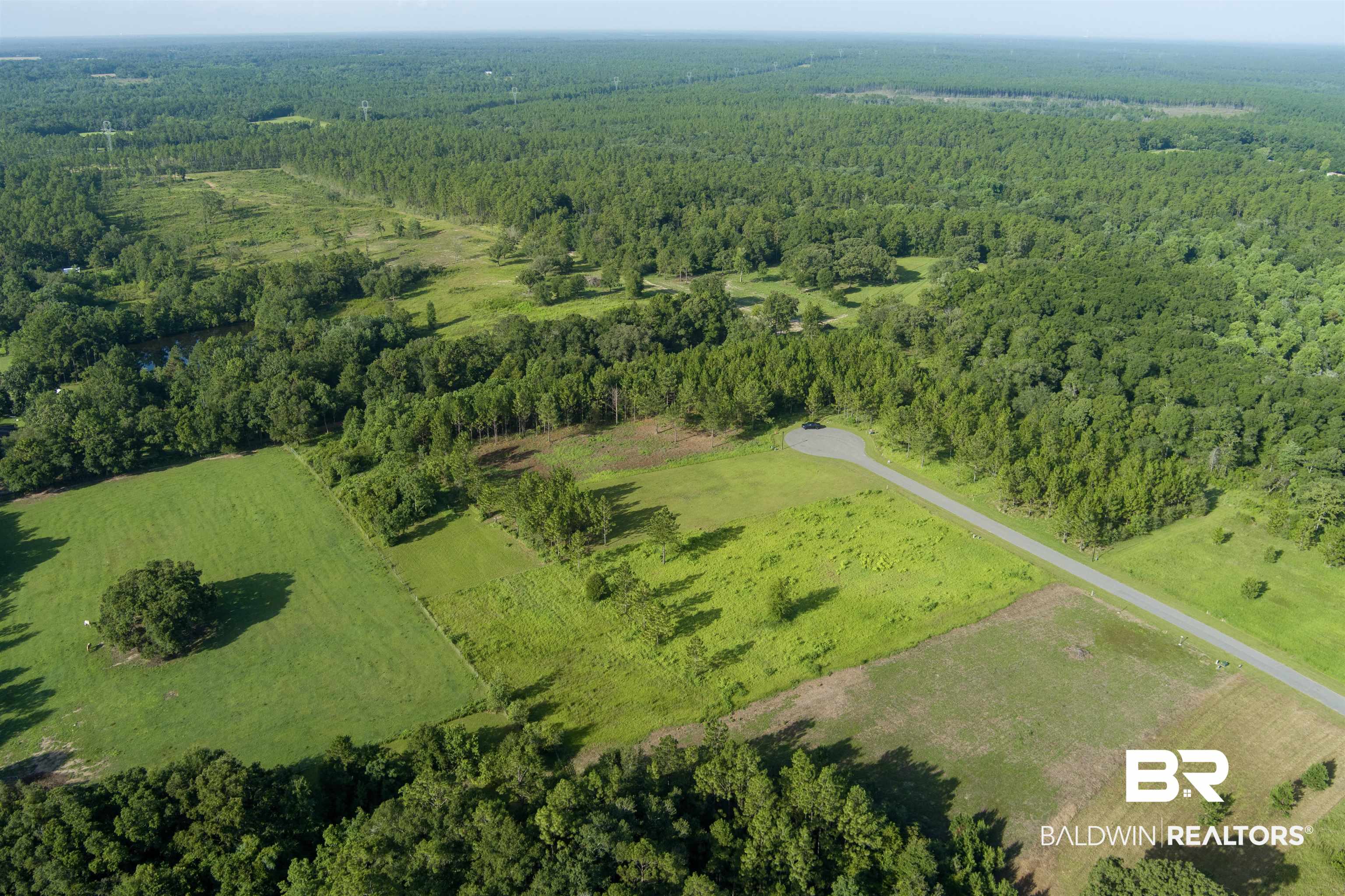 54 Hampton Ridge Mobile, AL 36608 - Photo 23 of 23 Aerial view of property's location with a heavily wooded area