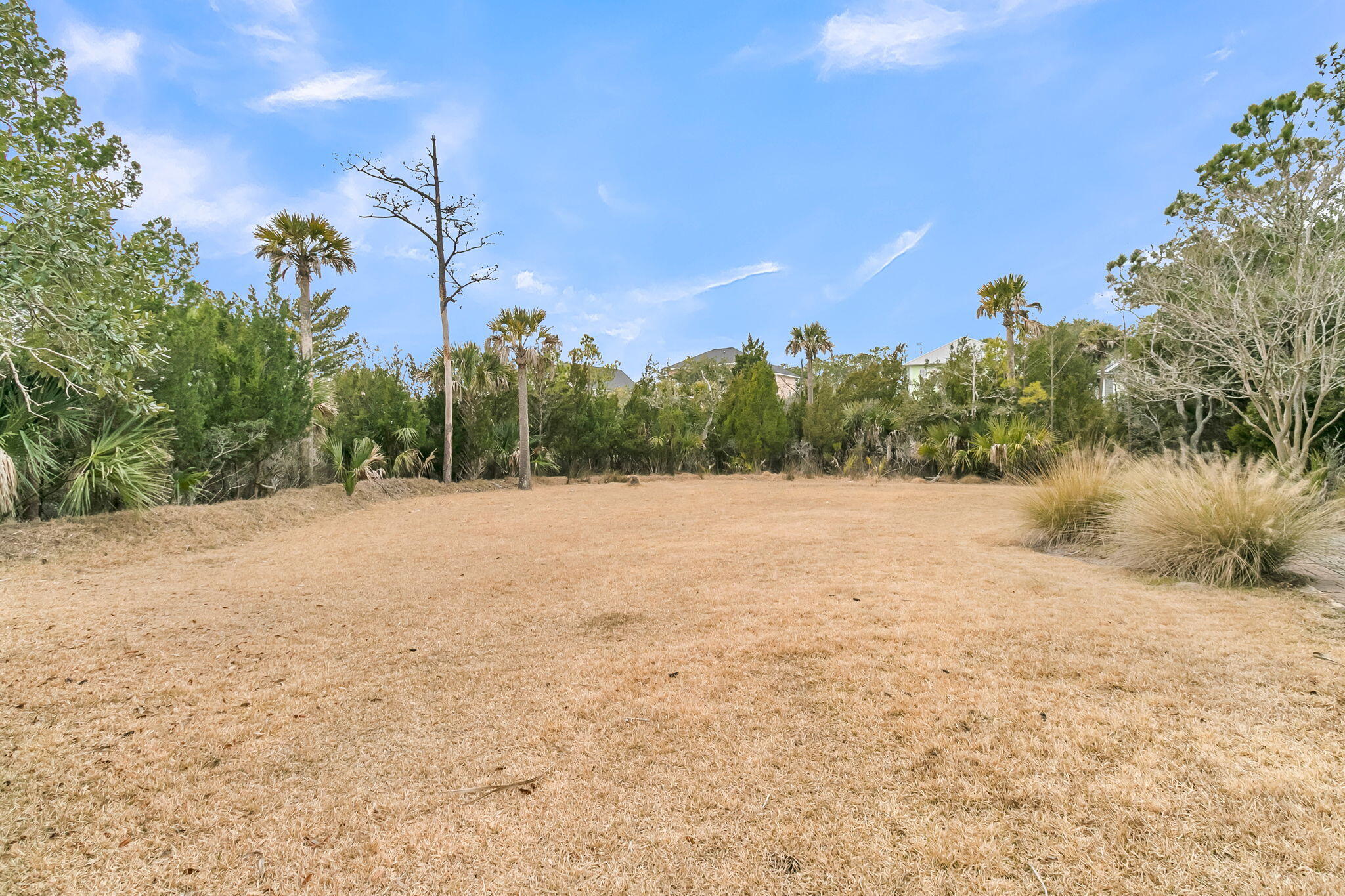 1924 Shields Lane Mount Pleasant, SC 29466 - Photo 68 of 97 CREM - 1924 Shields Ln-38