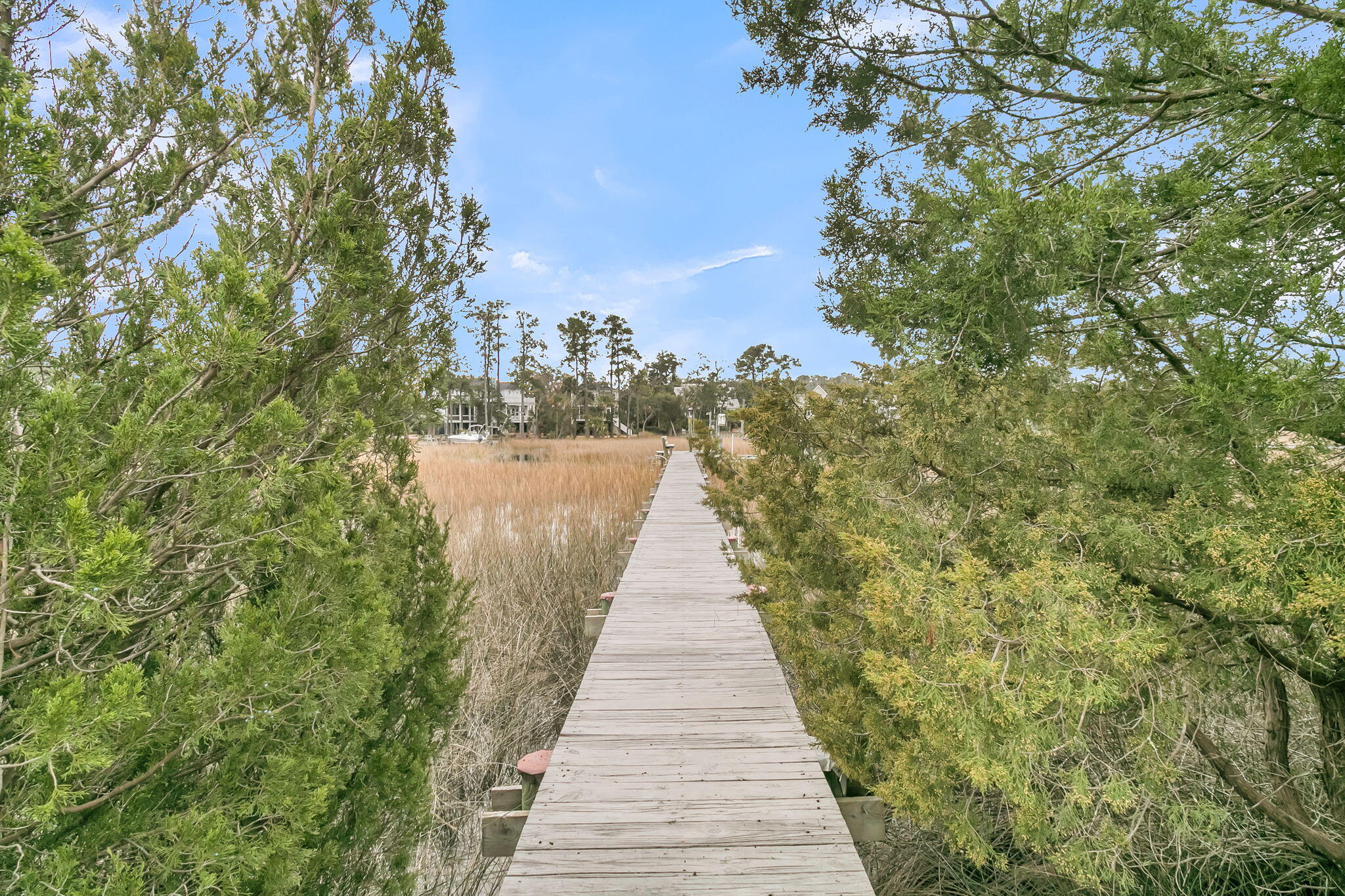 1924 Shields Lane Mount Pleasant, SC 29466 - Photo 75 of 97 CREM - 1924 Shields Ln-29