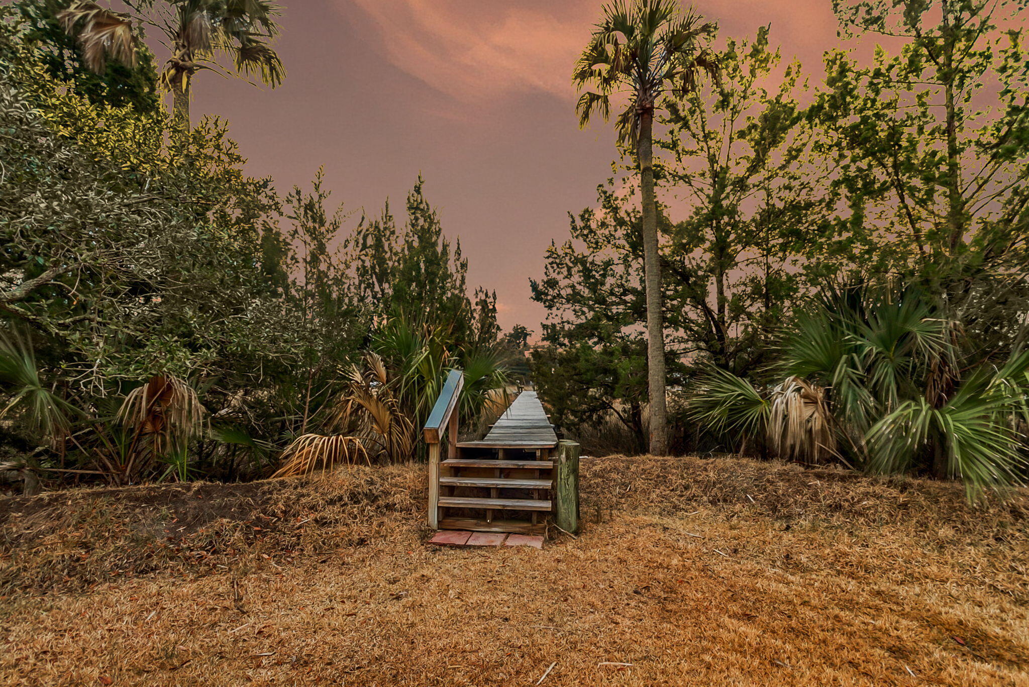1924 Shields Lane Mount Pleasant, SC 29466 - Photo 95 of 97 CREM - 1924 Shields - twilight-1