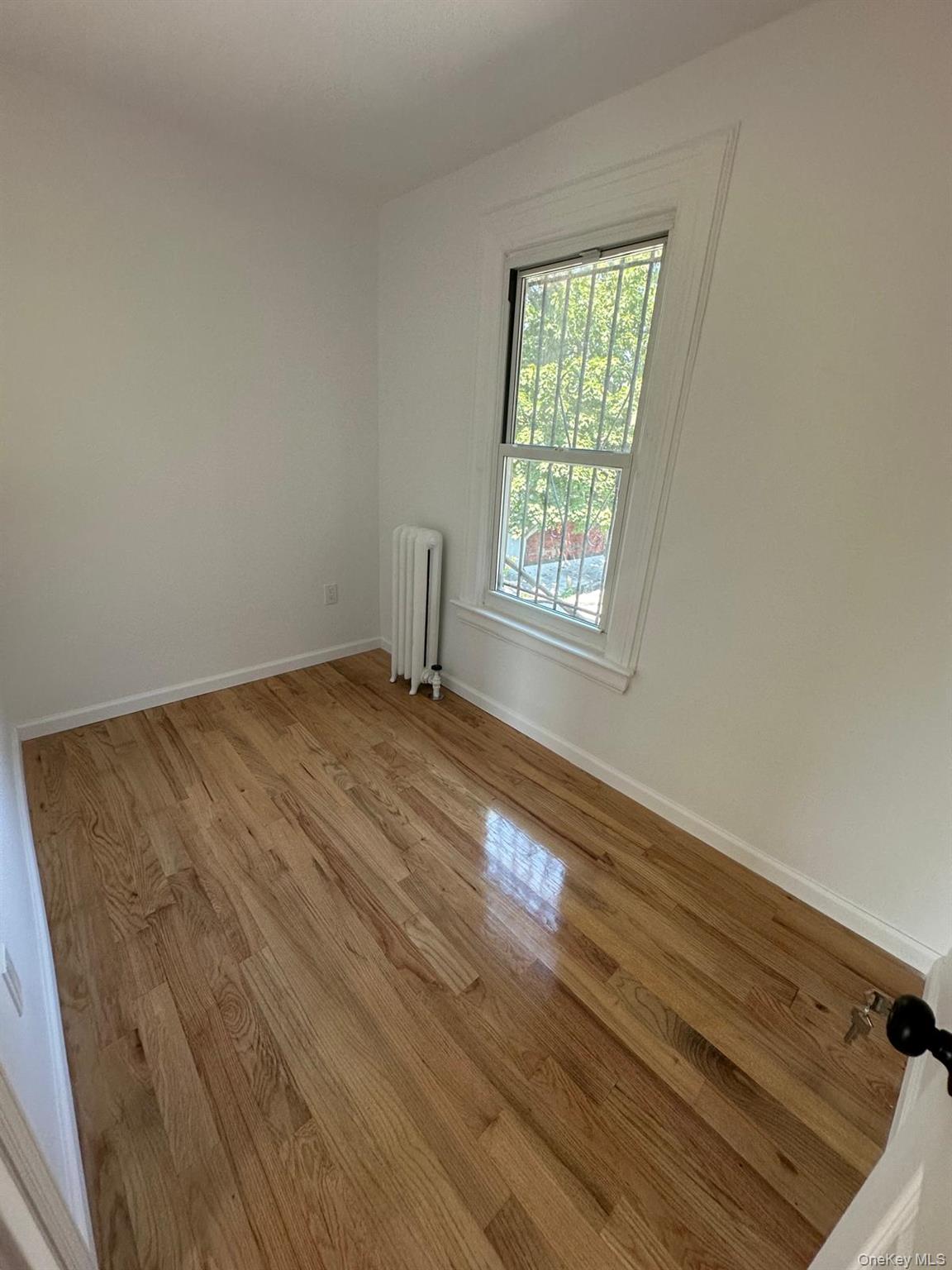 218-17 109th Avenue Queens, NY 11429 - Photo 14 of 35 Empty room featuring light wood-type flooring and radiator