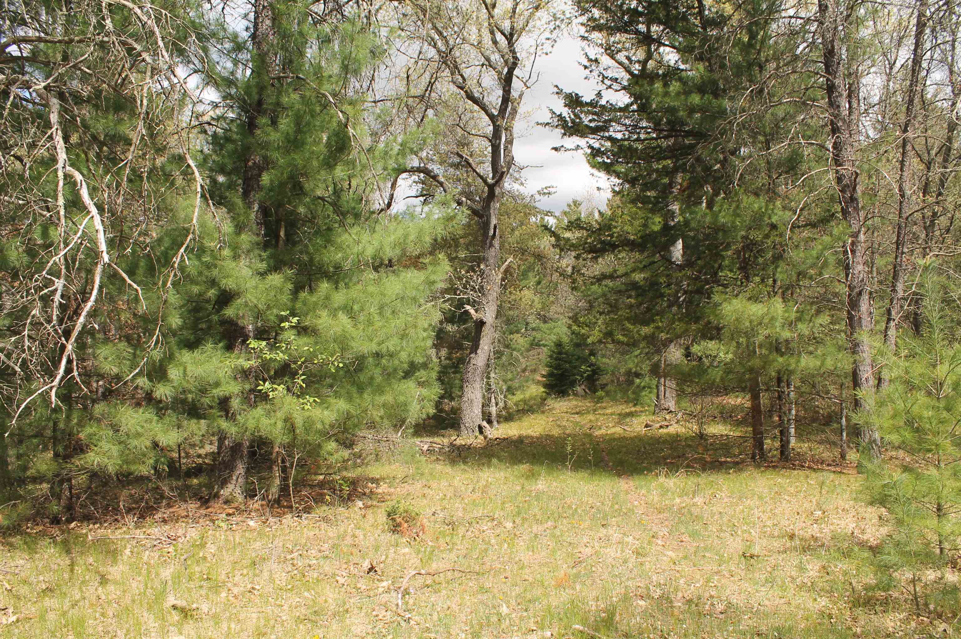 8th Road, Unit 3 Westfield, WI 53964 - Photo 10 of 16