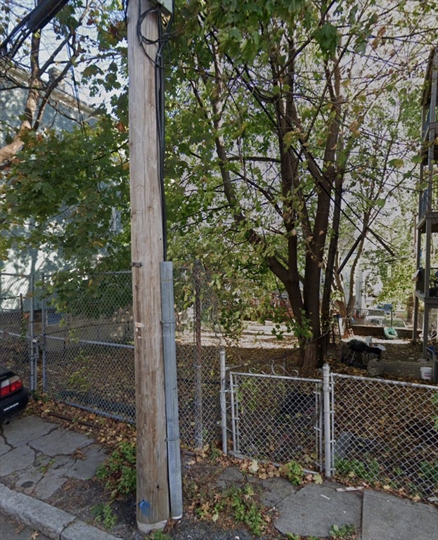a view of a street with large tree