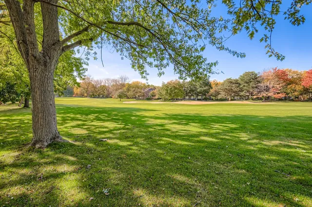 a view of an ocean from a yard