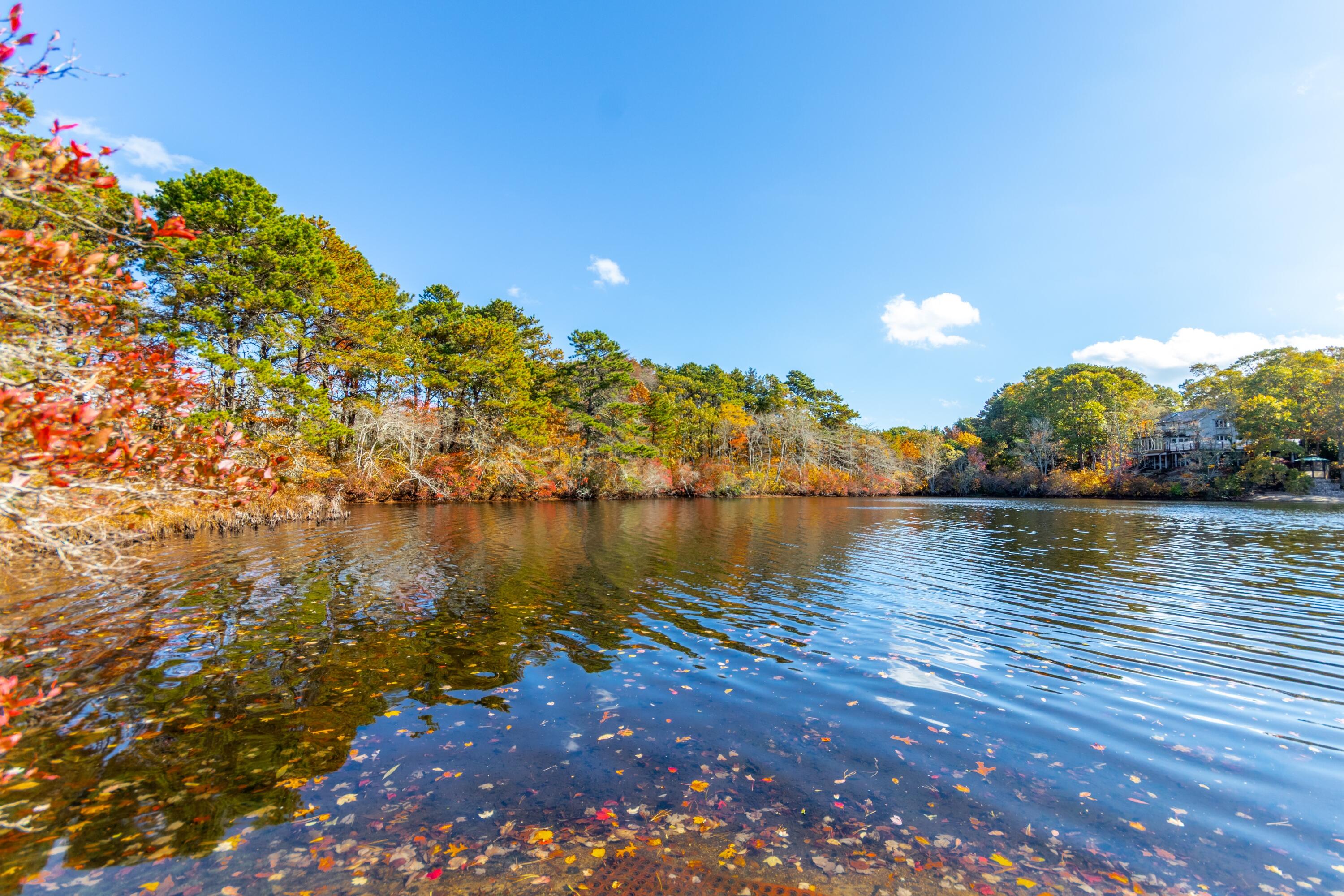 42 Fells Pond Road Mashpee, MA 02649 - Photo 3 of 37 Picturesque Fells Pond