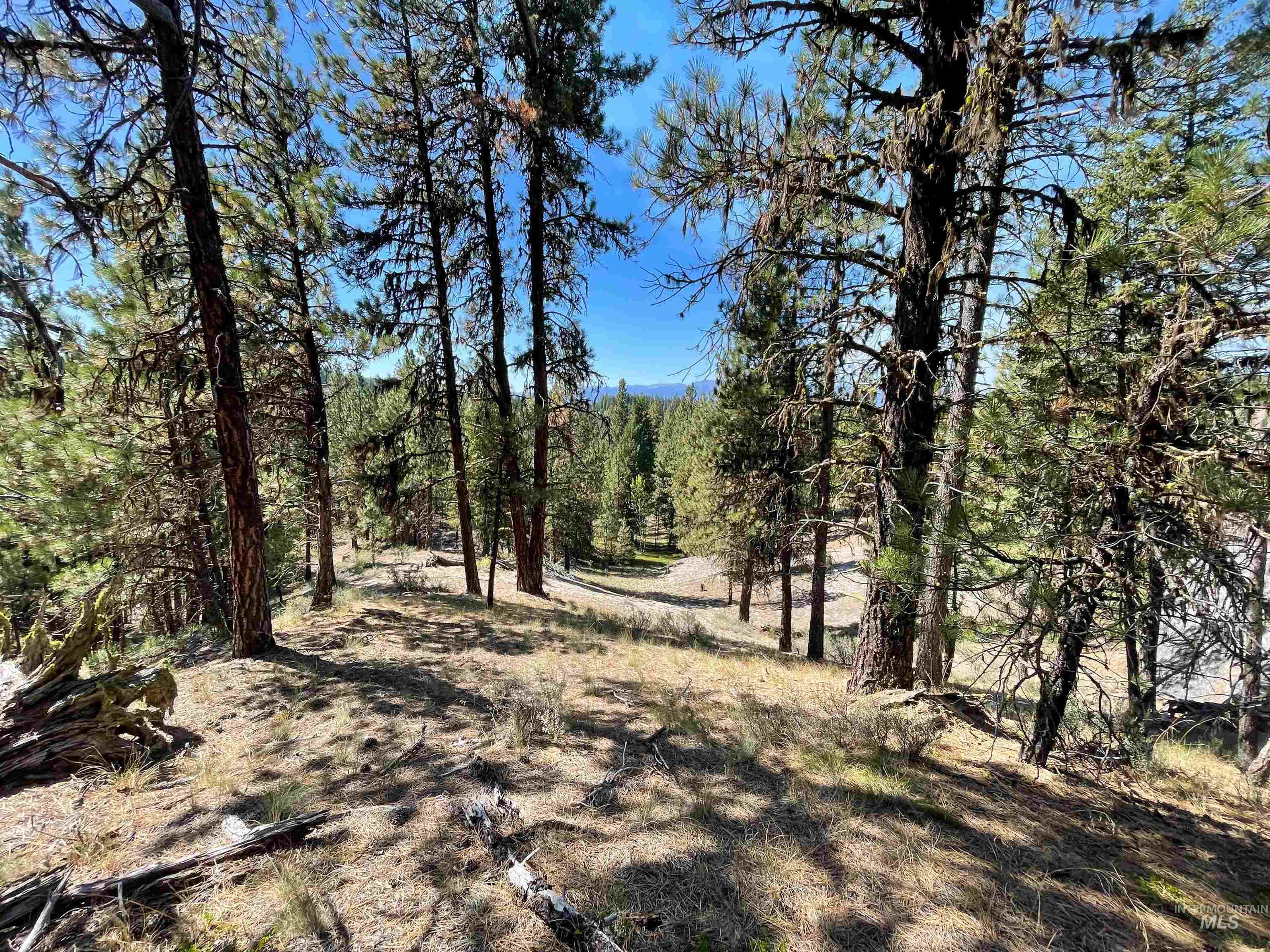 1-3 Horsethief Road Cascade, ID 83611 - Photo 4 of 11