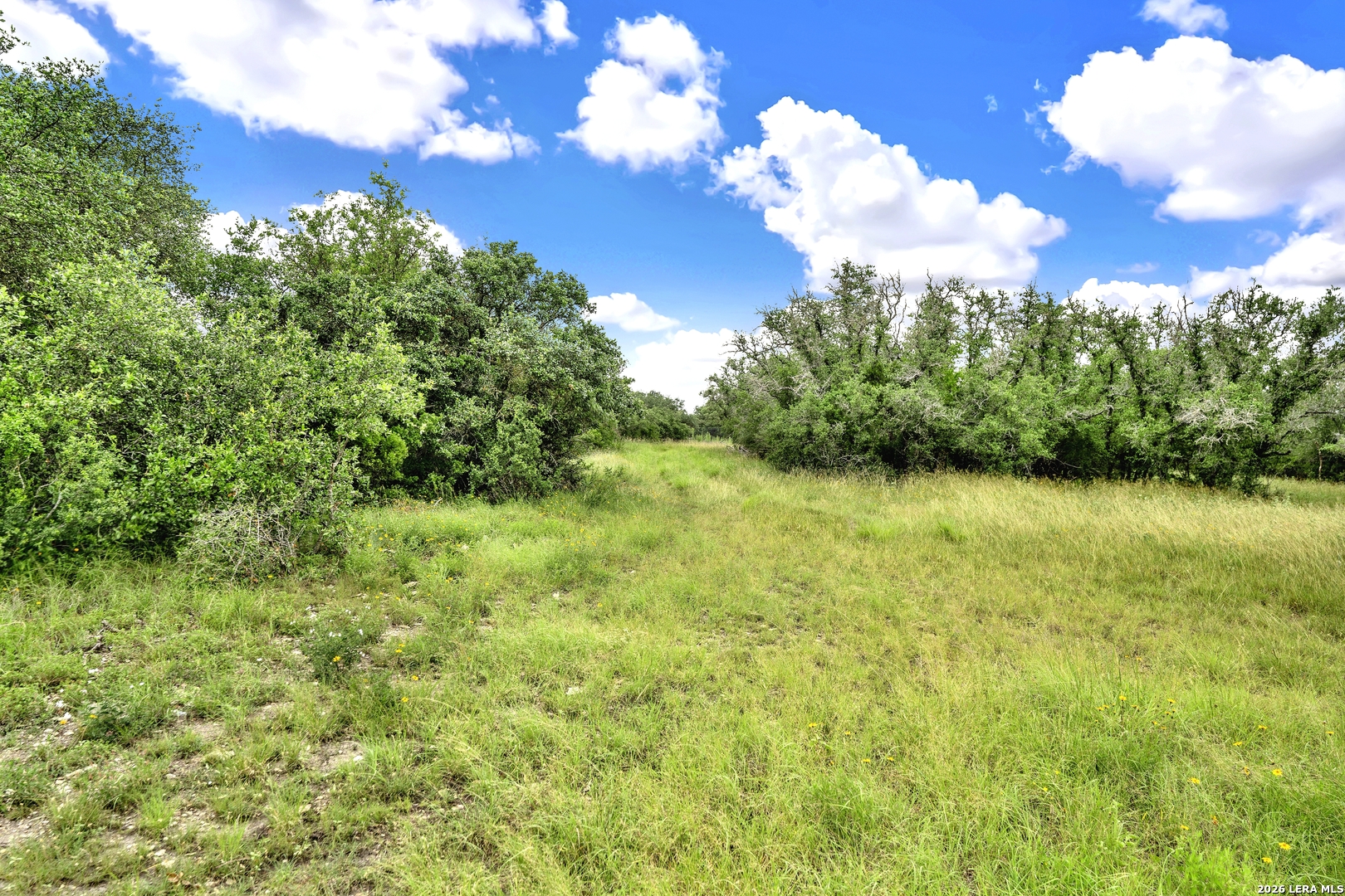 0 Fm 1796 D'Hanis, TX 78850 - Photo 12 of 26 a view of a garden