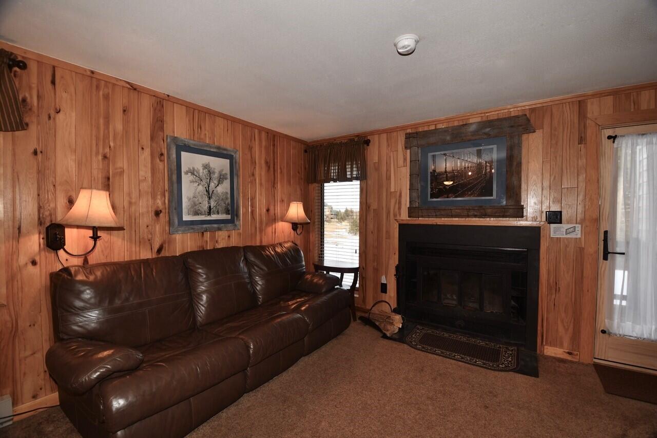 47 Powderidge Road, Unit 10B Snowshoe, WV 26209 - Photo 8 of 20 Gallery Image 8
