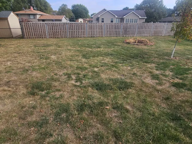 a view of a backyard