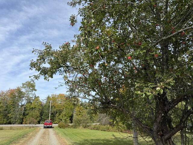 378 Main Street Princeton, ME 04668 - Photo 109 of 110 IMG_6276 (1)