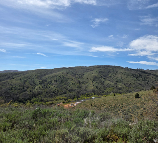 3325 North Oak Cyn Road, Unit 490 Huntsville, UT 84317 - Photo 4 of 25 Expansive undeveloped land featuring rolling hills, varied green vegetation, and a broad sky overhead
