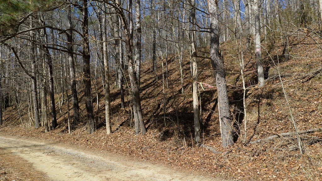 0 Rambling Road Talking Rock, GA 30175 - Photo 12 of 15 Gallery Image 12