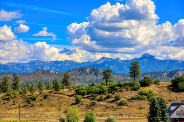 $849,000 | 291 Buck Drive, Pagosa Springs, CO 81147