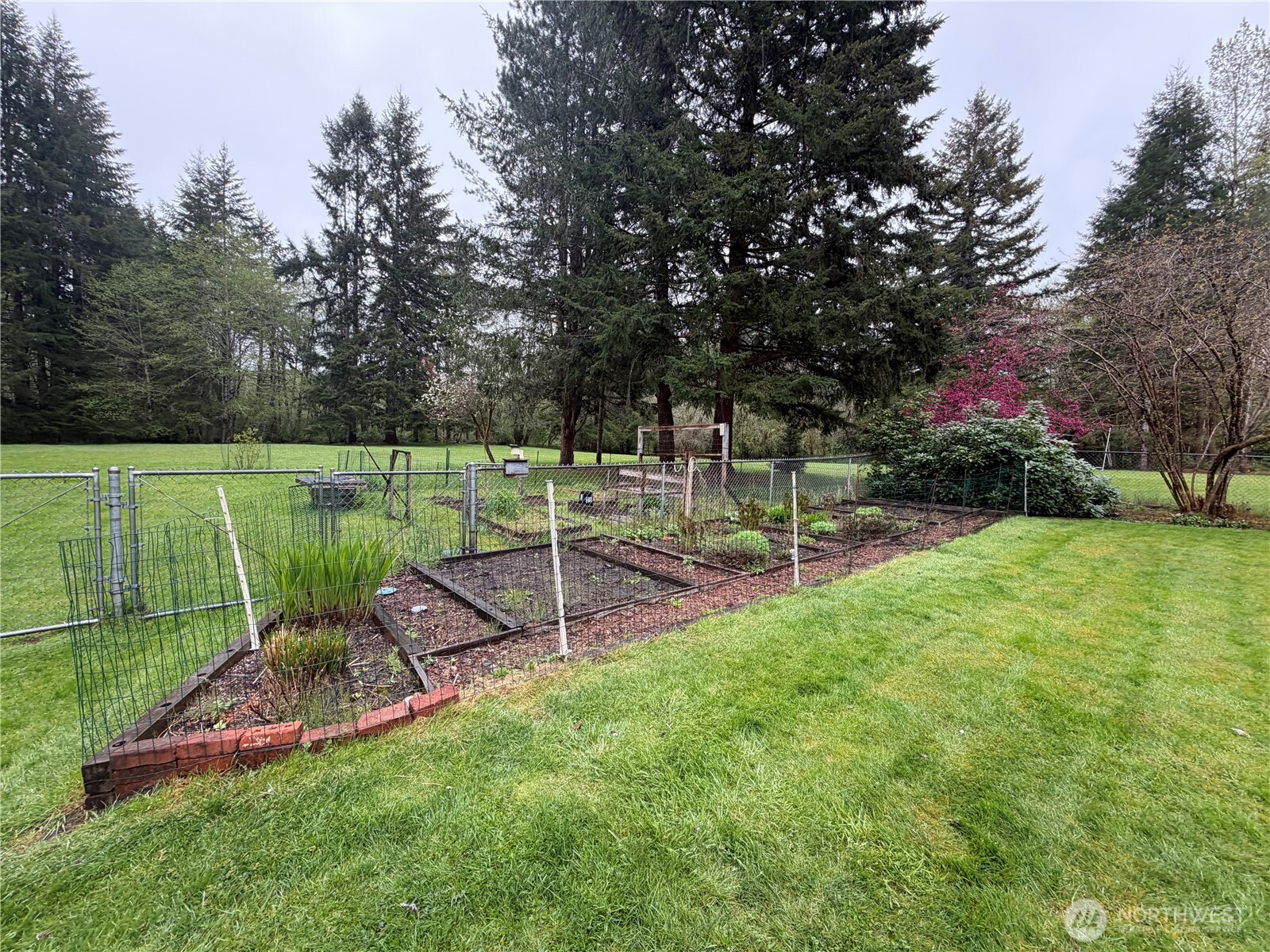 57 William McCleary Road McCleary, WA 98557 - Photo 34 of 40