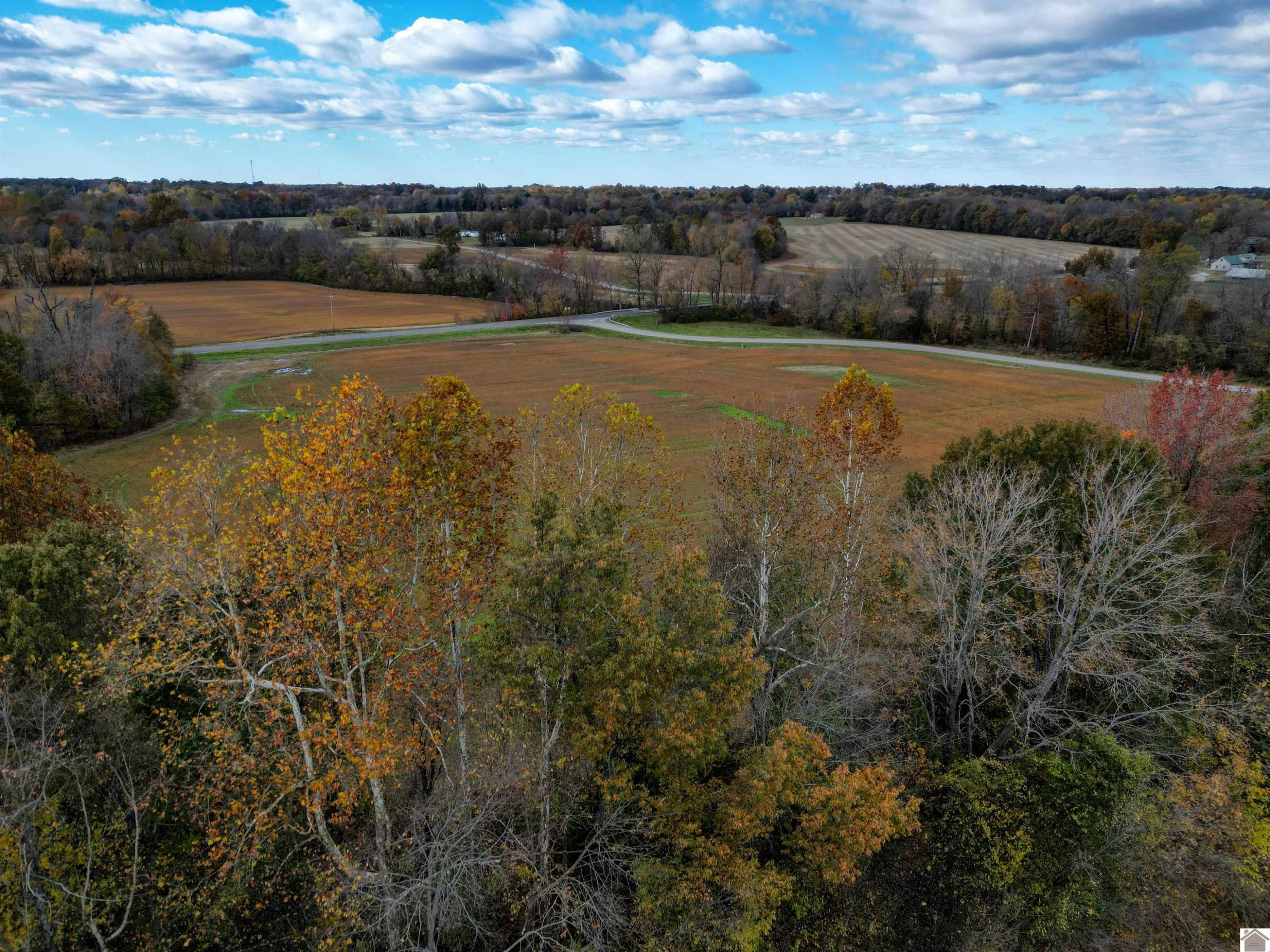 2930 McKendree Church Road Kevil, KY 42053 - Photo 8 of 19 Photo 8