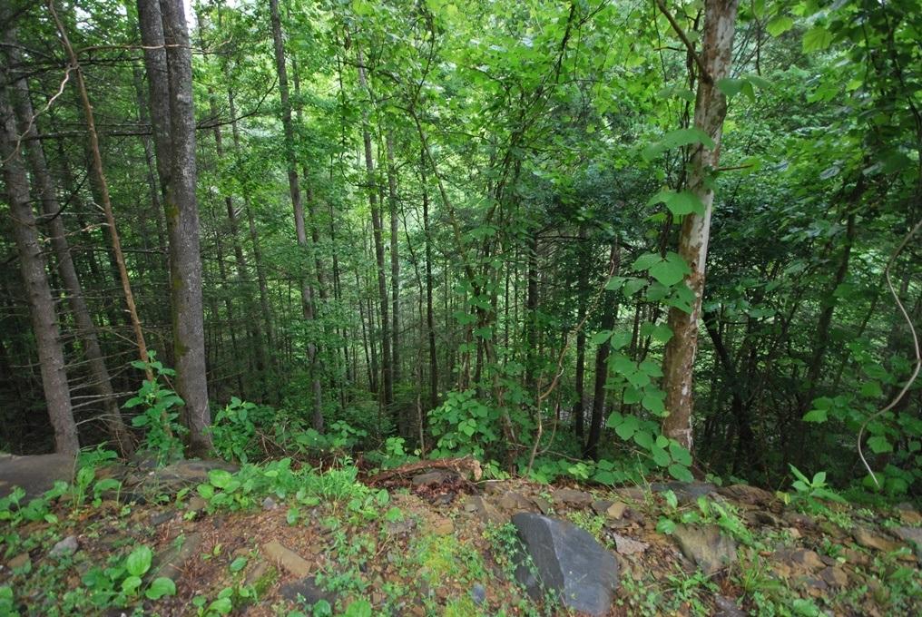 13-14 Riversong Way Sevierville, TN 37876 - Photo 15 of 19 K