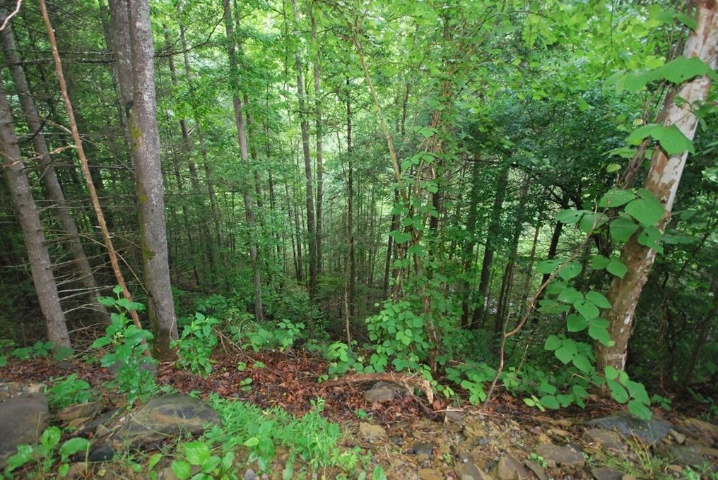 13-14 Riversong Way Sevierville, TN 37876 - Photo 16 of 19 L