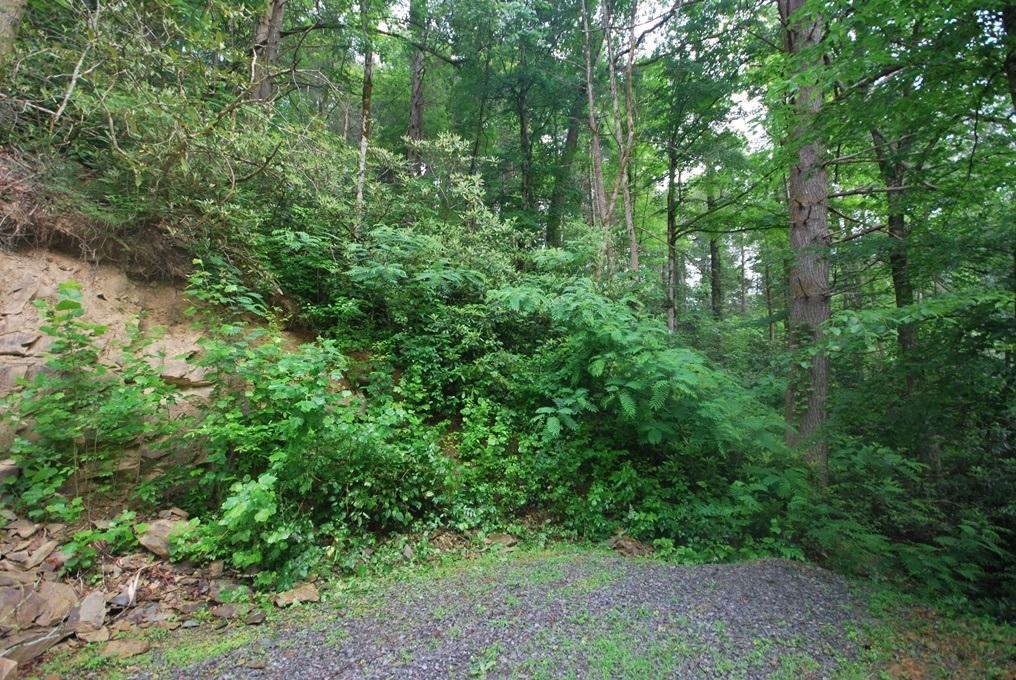 13-14 Riversong Way Sevierville, TN 37876 - Photo 7 of 19 G