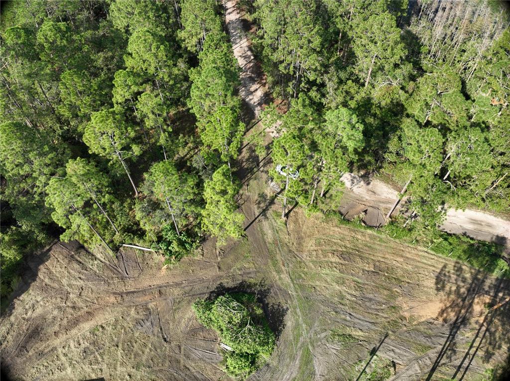 5642 Goff Island Road Groveland, FL 34736 - Photo 5 of 15