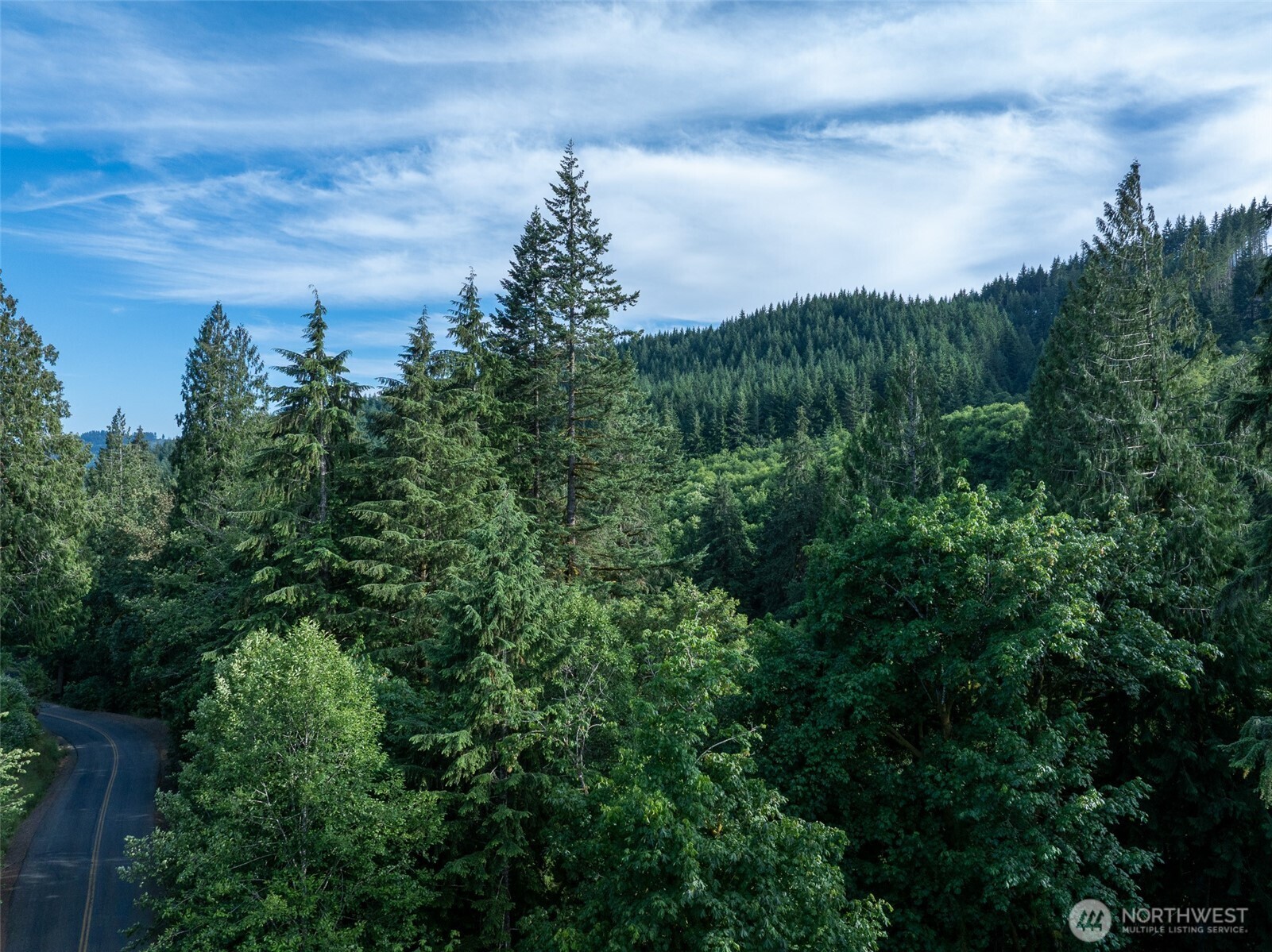 0 North Dubois Road Ariel, WA 98603 - Photo 10 of 19