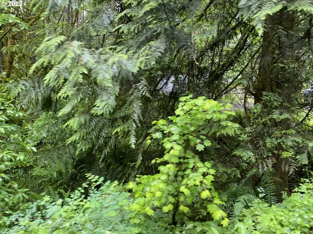 a backyard of a house with lots of plants