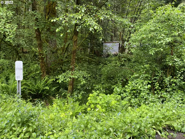 a view of a house with a tree