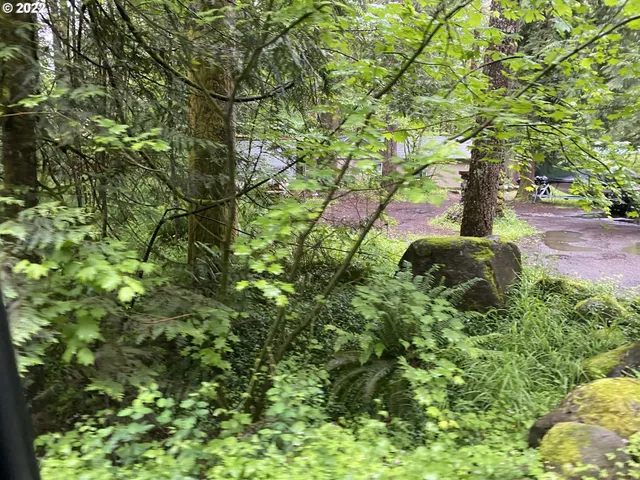a backyard of a house with lots of green space