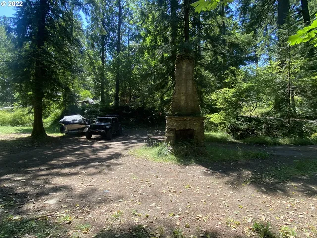 a view of a yard with plants and trees