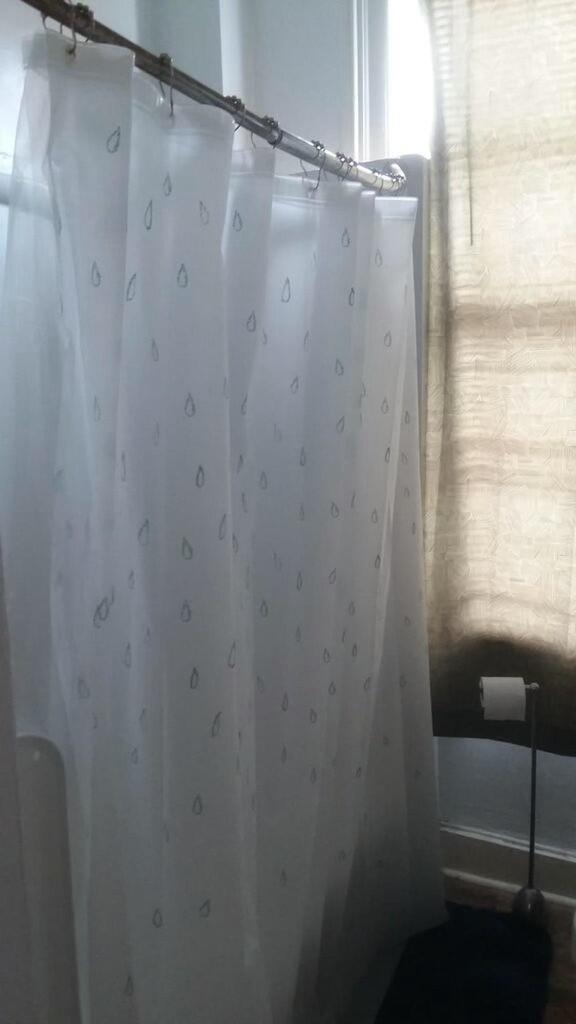 25 George Street, Unit E Charleston, SC 29401 - Photo 14 of 15 tempImageQ9iFxS