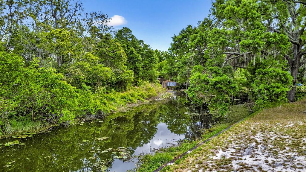 34618 South Haines Creek Road Leesburg, FL 34788 - Photo 15 of 41 a view of a garden