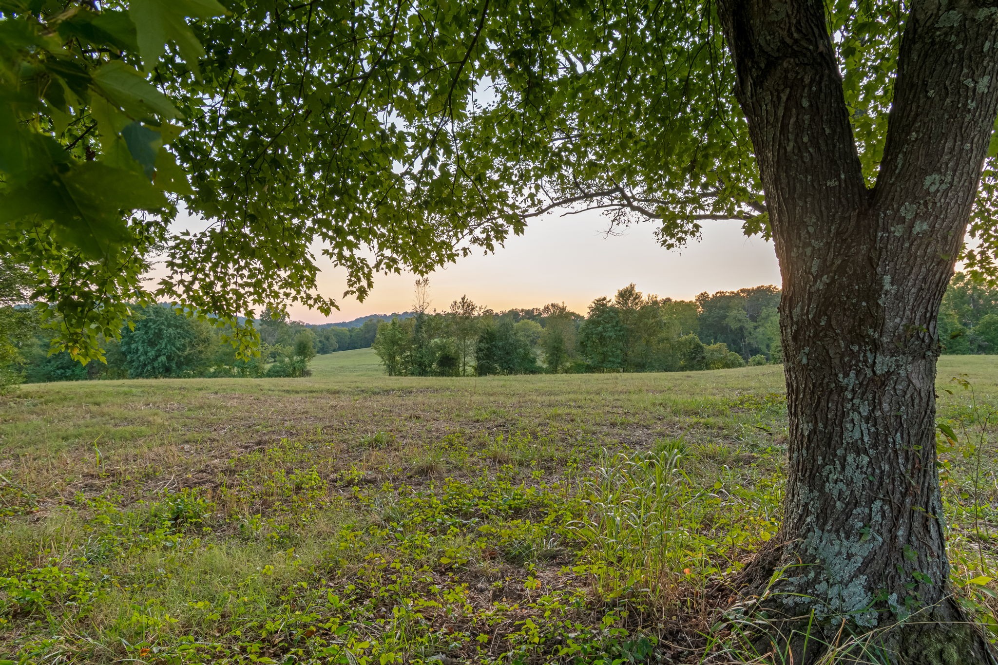 3213 Craig Bridge Road Williamsport, TN 38487 - Photo 12 of 47 a view of an outdoor space with a lake view