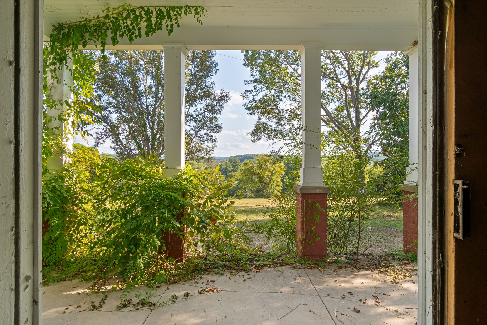 3213 Craig Bridge Road Williamsport, TN 38487 - Photo 23 of 47 a view of a pathway in front of a window